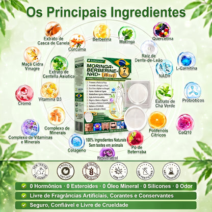 🌿Official Store | 🏆 Solaroza® Moringa & Berberine 15-IN-1 Advanced Nano Microneedle Patch (Once Daily, visible changes in 7 days) ✅ Obesity, Diabetes, Sleep Apnea, And Joint Issues