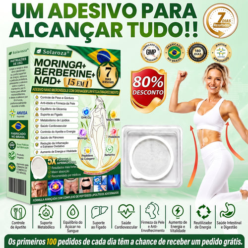 🌿Official Store | 🏆 Solaroza® Moringa & Berberine 15-IN-1 Advanced Nano Microneedle Patch (Once Daily, visible changes in 7 days) ✅ Obesity, Diabetes, Sleep Apnea, And Joint Issues