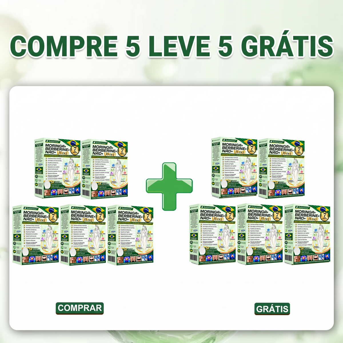 🌿VIP 1